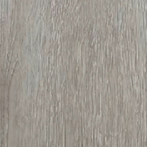 EE 03 EARTHY CYPRESS