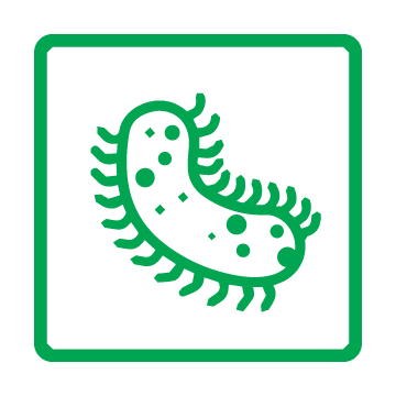 SG Safe Engineered Icons_Anti-mildew Anti-bacteria