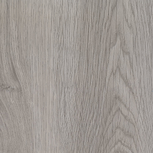 SGV-505-001_Grey Owl